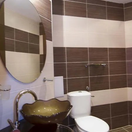 Hotel Salena Plaza 3*